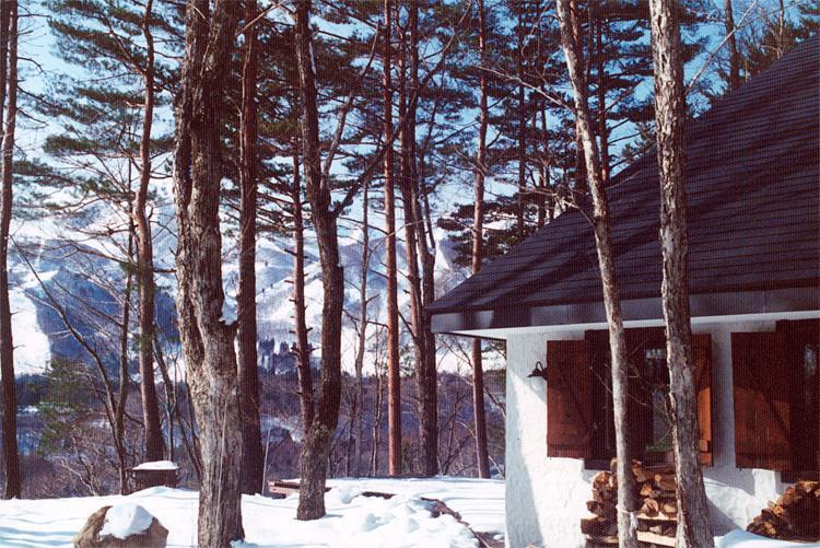 Earl Grey Hotel Hakuba Bagian luar foto