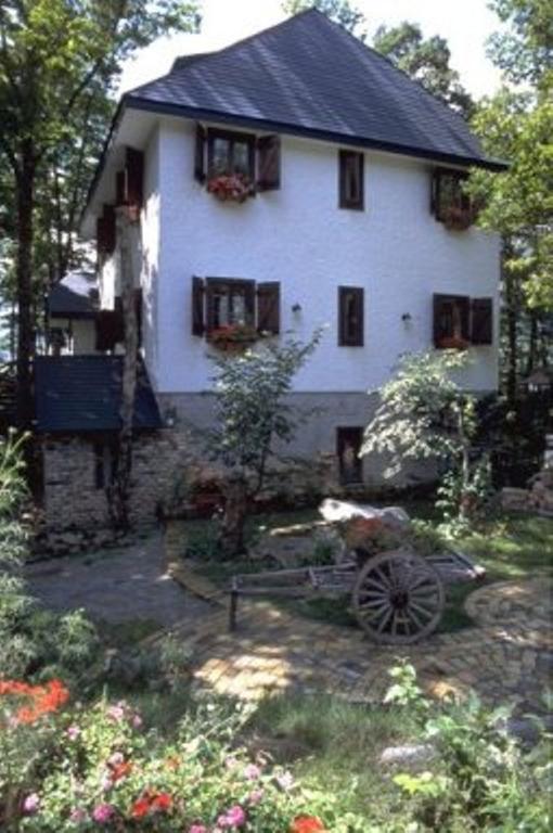 Earl Grey Hotel Hakuba Bagian luar foto